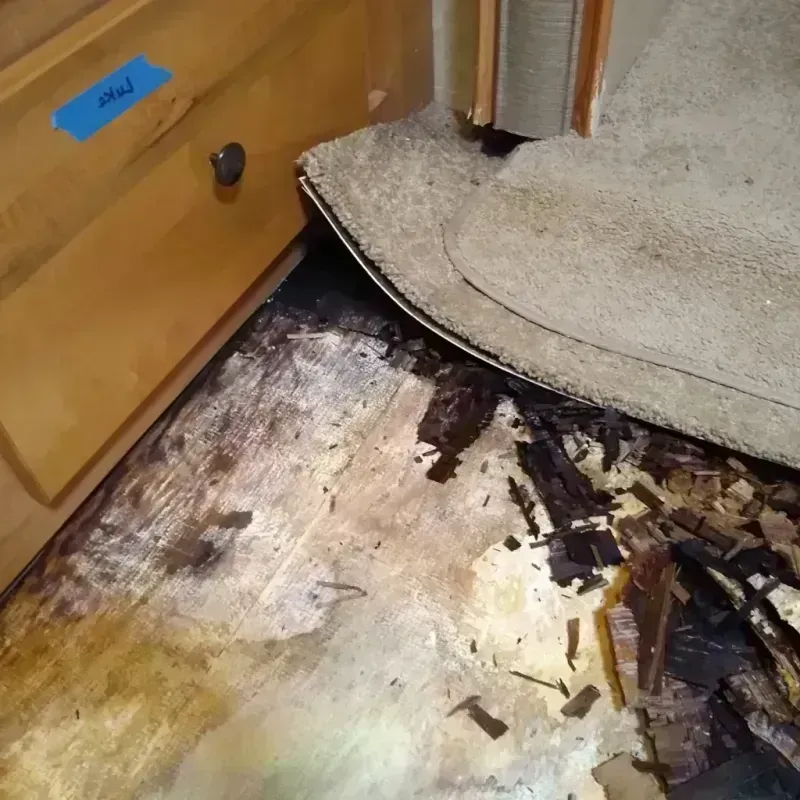 Wood Floor Water Damage in Canal Winchester, OH